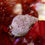 Thumbnail: Cerith Snail (Cyano eater) Pack 20