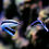 Thumbnail: Cleaner Wrasse pack of 2 Fishes