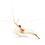 Thumbnail: Peppermint Shrimp
