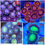 Thumbnail: Custom Sets from 20 Zoanthids. Free Shipping.