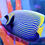 Thumbnail: Emperor Angelfish (Juvenile’s)