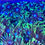 Thumbnail: Green Goniopora LPS Coral
