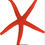 Thumbnail: Linckia  Starfish Assorted