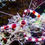 Thumbnail: Coral Banded Shrimp