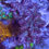 Thumbnail: Crayola Plana Acropora SPS Coral