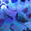 Thumbnail: Teal Cabbage Leather