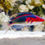 Thumbnail: Exquisite Fairy Wrasse Fish