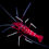 Thumbnail: Blood-Fire Shrimp (Pack of 2 Shrimps)
