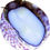 Thumbnail: Cowrie Snail