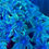 Thumbnail: Puff the Dragon Clove. Live Saltwater Soft Coral