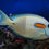 Thumbnail: Orange Shoulder Tang