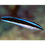 Thumbnail: Cleaner Wrasse pack of 2 Fishes
