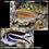 Thumbnail: Bellus Swallowtail Angel Yellow (Male)