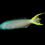 Thumbnail: Mozambique Blenny