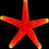 Thumbnail: Fromia Varieties Starfish