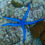 Thumbnail: Linckia  Starfish Assorted