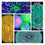Thumbnail: Plate Assorted Corals