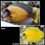 Thumbnail: Mimic Yellow Tang