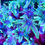 Thumbnail: Puff the Dragon Clove. Live Saltwater Soft Coral