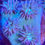 Thumbnail: Emerald Green Turbinaria Scroll Aquaculture Saltwater LPS Coral. Grown in USA