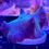 Thumbnail: Discosoma Ultra Blue Mushrooms Coral