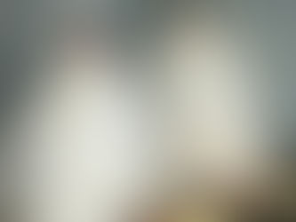 Ringing the Cromer Peregrine chicks