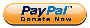 [CITYPNG.COM]HD PayPal Donate Now Button Transparent PNG - 1000x1000.png