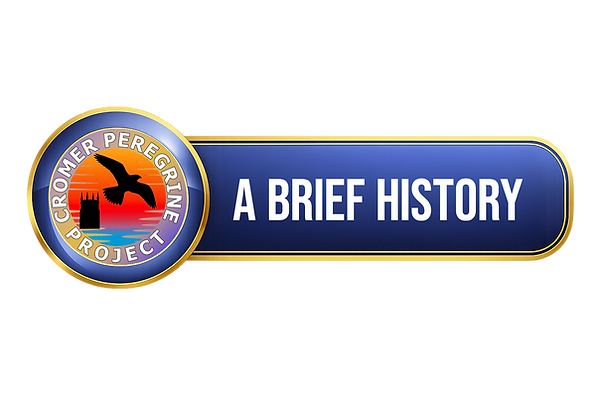 Button brief.png