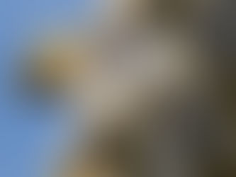 Saturday 23rd May 2020