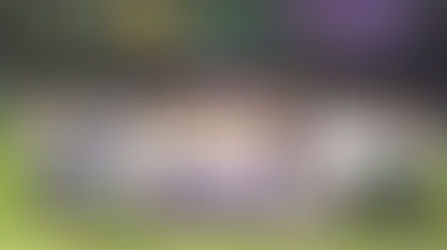 XXXV Asamblea regional.