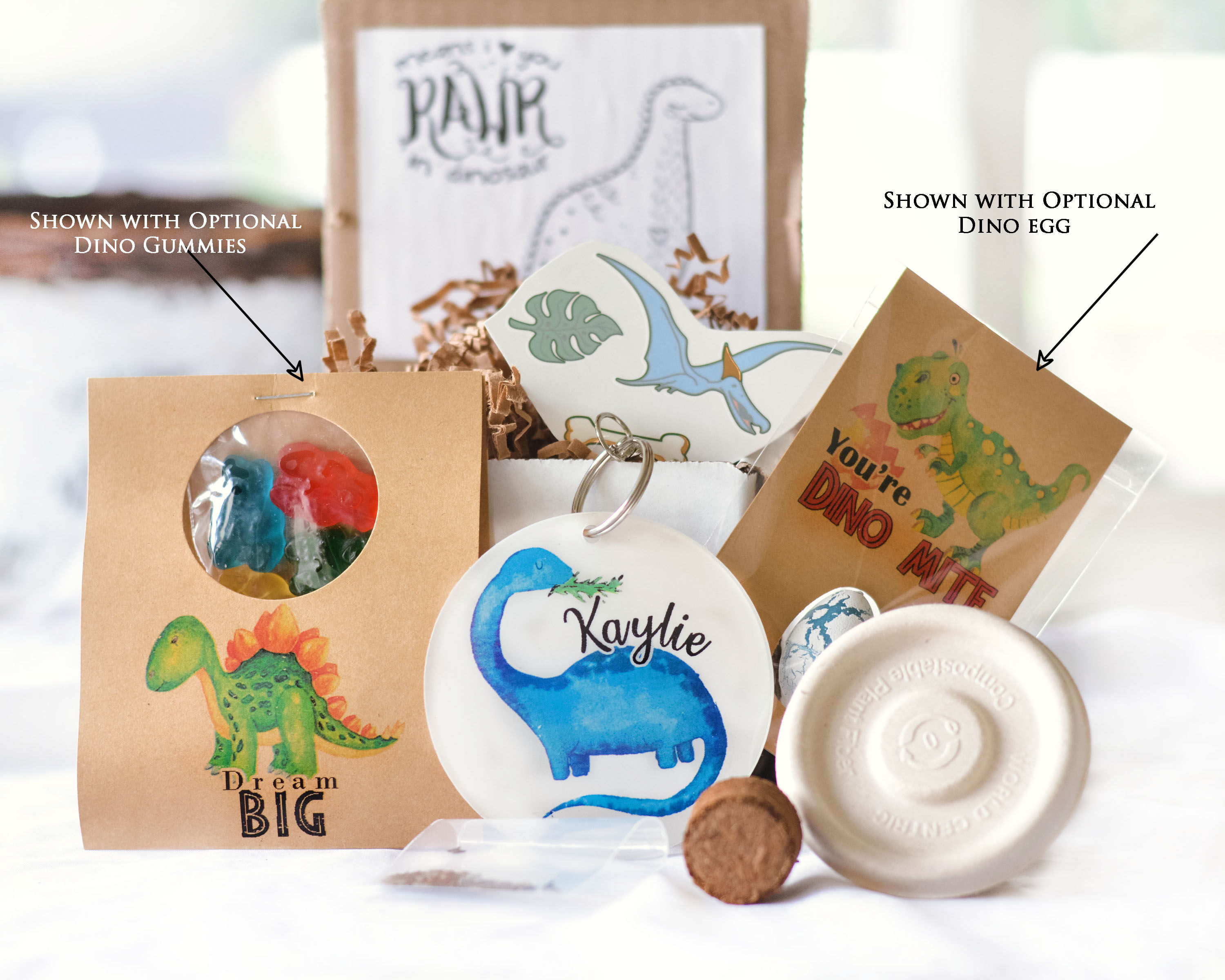 Dinosaur, Dino gift box, kids birthday gift, Educational, grow microgreens / din