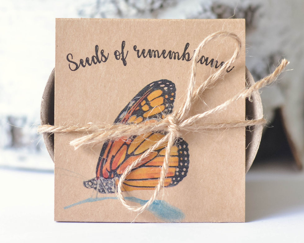 Thumbnail: MONARCH SYMPATHY GARDEN REMEMBERANCE SEED KIT