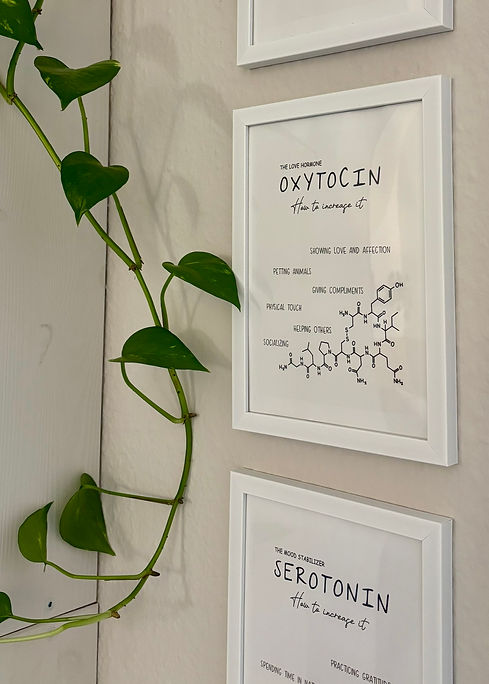 Informationsmaterial zu Bindung, Emotionen und psychischer Entwicklung im Therapieraum