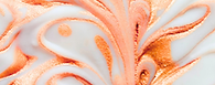 Design sans titre (45).png