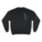 Slay Dragons Definition Crew Neck 