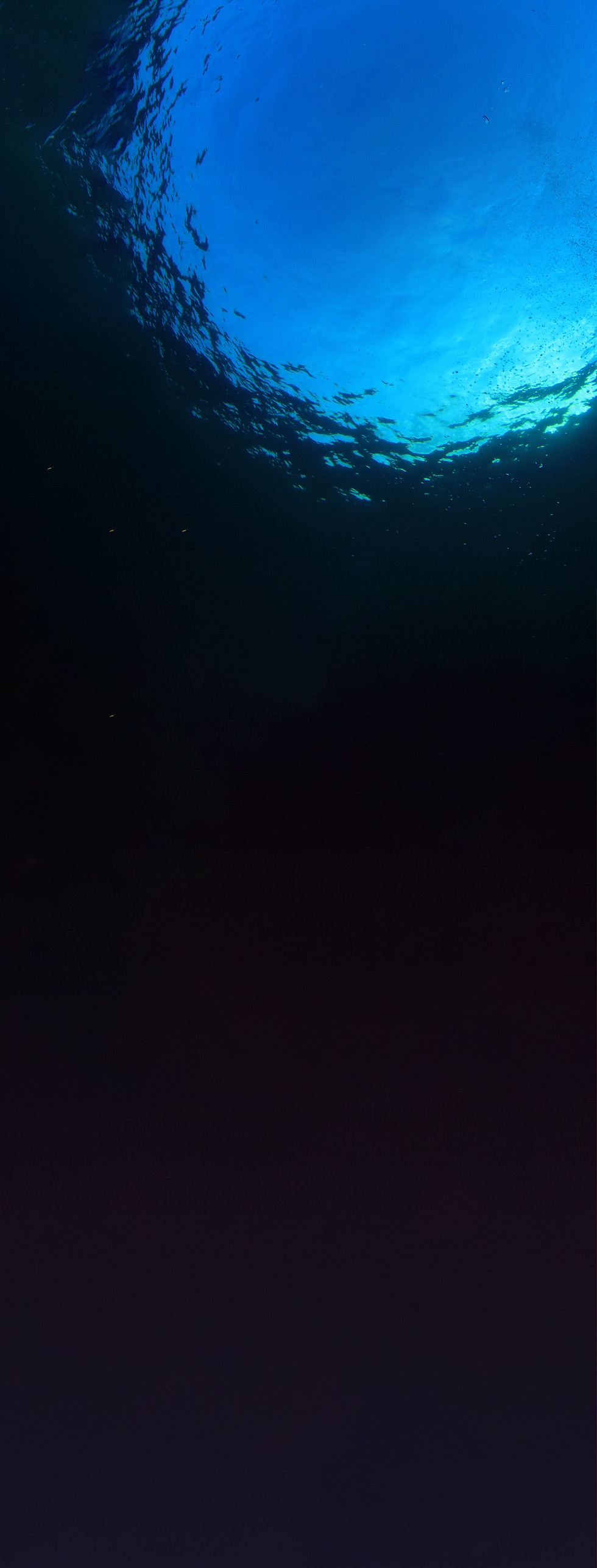 Resources.jpeg