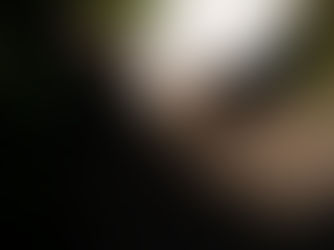 The Power of Pause: How Nature Restores Teams and Strengthens Connection