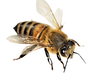PhotoRoom_20220328_151038[304933].PNG