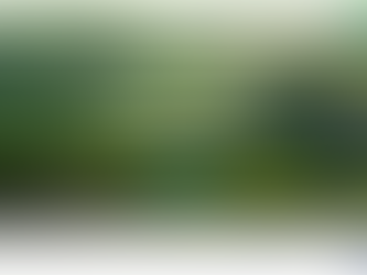 Celebrate Our New Website Launch and the Team's Dedication This New Year