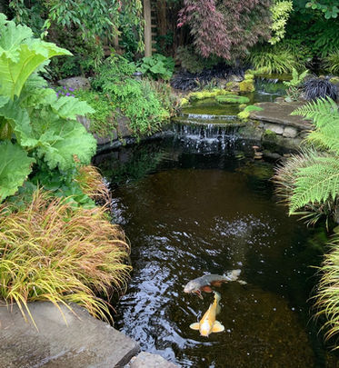 IMG_0187 copy-X2.jpg