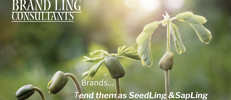 Untitled-1-Left Title Slide.png