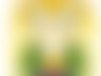 May 14/15, 2022 - Sunday Bulletin