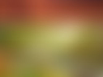 HOMILY FOR FEBRUARY 21st - First Sunday of Lent