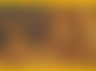 17th Sunday in Ordinary Time