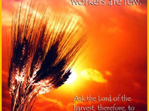 July 5/6, 2025 - Sunday Bulletin