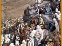 Weekly Bulletin – Feb 7, 2026