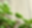 website header background for medical spa website.png