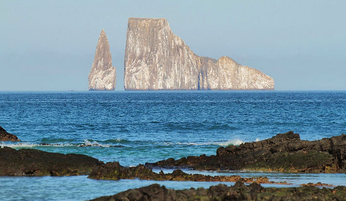 Conoce cada rincón de Galapagos en nestros diferentes paquetes