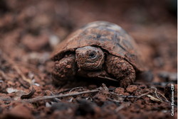 Captura de Pantalla 2026-03-06 a la(s) 18.32.46