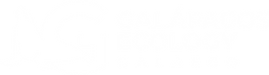 Recurso 2 (1).png